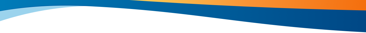 Sun Country branding
